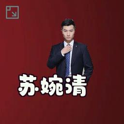 苏婉清